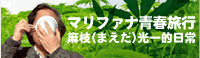 マリファナ青春旅行 麻枝光一的大麻生活